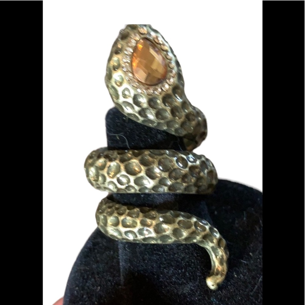 Ring. Snake costume. Wrap ring